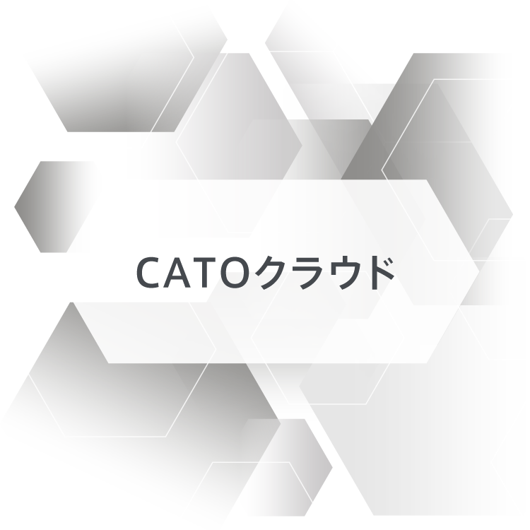 catocloud_WP02_01